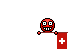 Der Schweizer